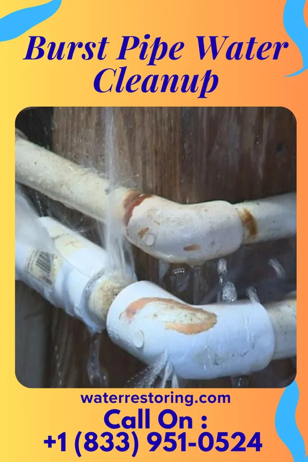 Burst Pipe Water Cleanup in Valley Springs, SD